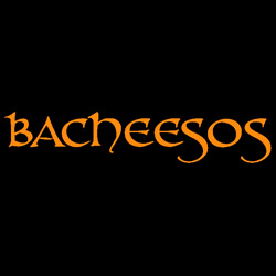 bacheesos bacheesos berkeley