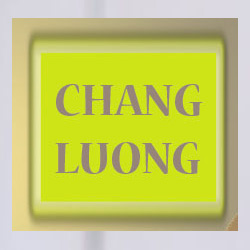 chang luong chinese restaurant on Telegraph