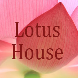 lotus-house-text lotus-house-text